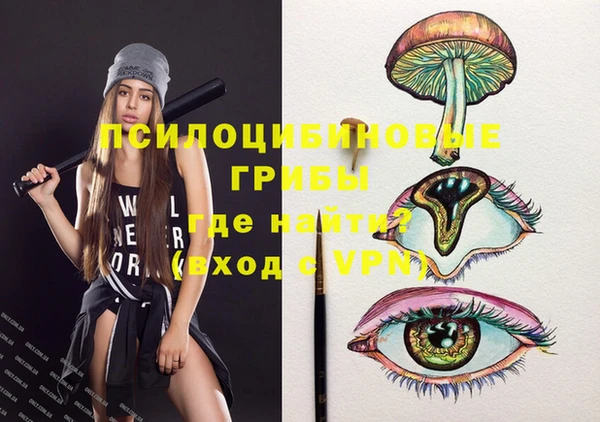 шишки Кинешма