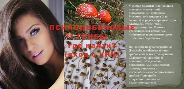 экстази Киреевск