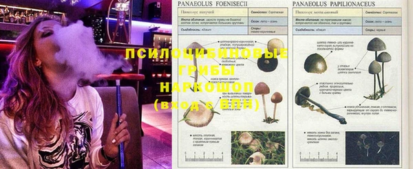 шишки Кинешма