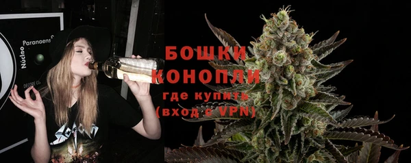 шишки Кинешма