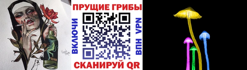 Купить где  Поворино  Галлюциногенные грибы мухоморы 
